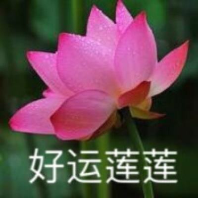 首创！上海拟为“人民建议”立法